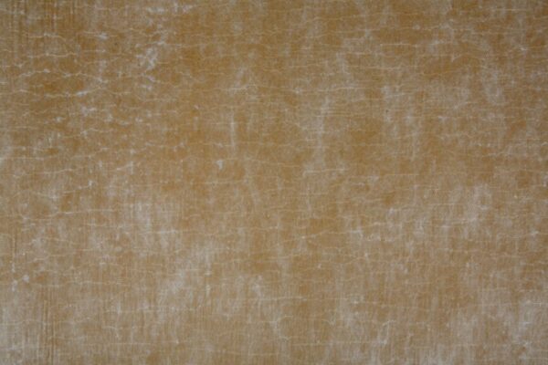 ACI-125® - Image 3